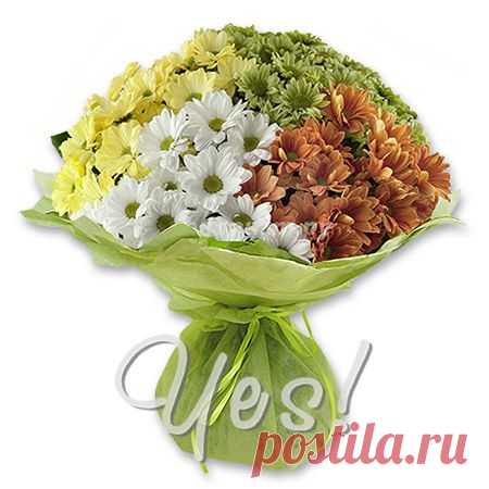 Букет из разноцветных хризантем, словно разноцветные ромашки. Ярко, красиво и в тоже время, просто. Такой букет не только украсит любой праздник, но и поднимет настроение в будничный день.
