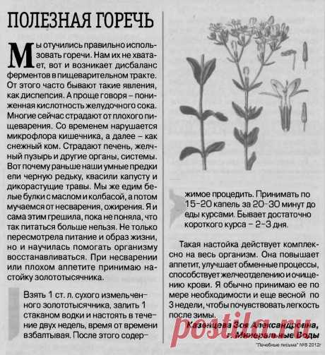 Полезная горечь
