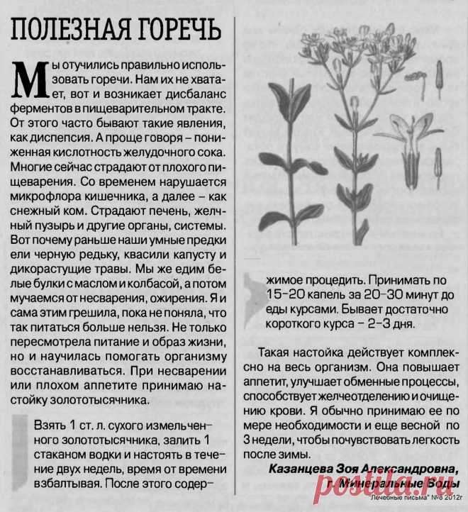 Полезная горечь