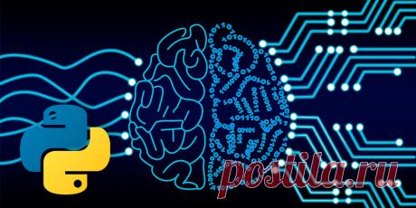 Профессия Python разработчика открывает двери в мир технологий, предлагая разнообразные карьерные пути и возможности для роста. Независимо от вашего текущего уровня - будь вы начинающий без опыта или специалист из смежной области - этот подробный гид поможет построить системный план развития и достичь поставленных карьерных целей в Python разработке.