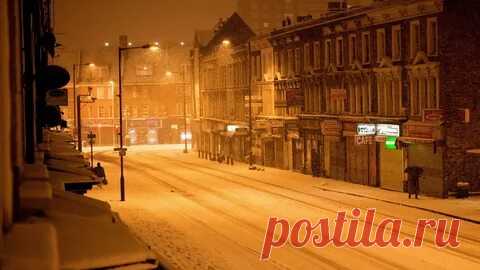 Яндекс Картинки: поиск похожих изображений