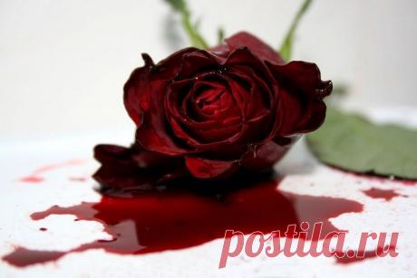 Как убить любовь Стрельцов и Козерогов