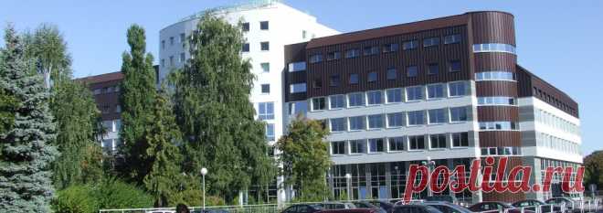 Объявления | Полесский государственный университет