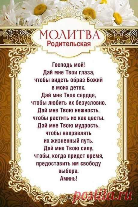 (5) Одноклассники