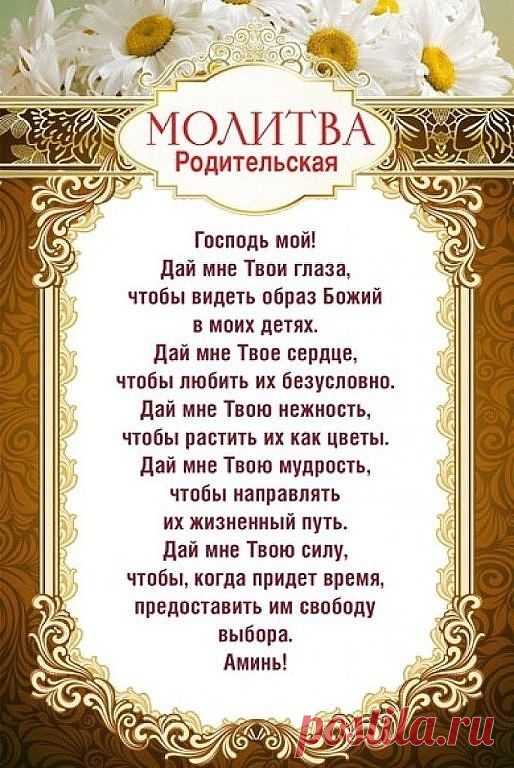 (5) Одноклассники