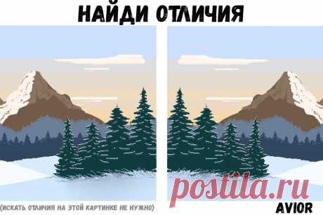 Если найдёте хотя бы пару отличий, значит у вас хорошо работает мозг | Avior | Яндекс Дзен