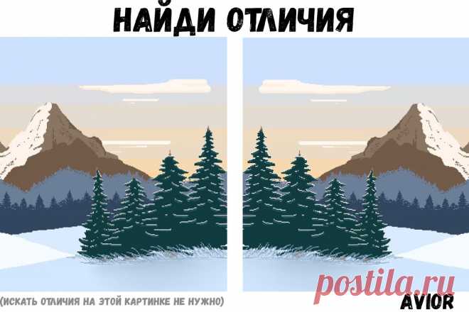 Если найдёте хотя бы пару отличий, значит у вас хорошо работает мозг | Avior | Яндекс Дзен