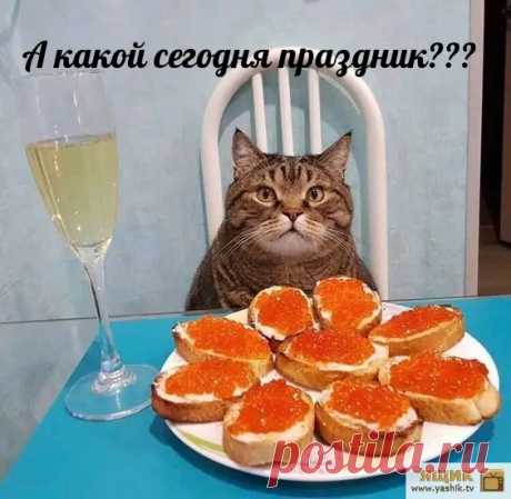 Позитивные картинки для настроения / Картинки: Приколы