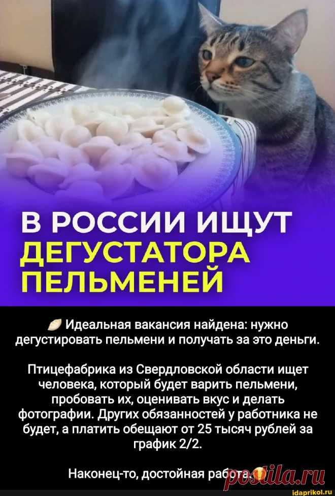 В РОССИИ ИЩУТ ДЕГУСТАТОРА ПЕЛЬМЕНЕЙ Идеальная вакансия найдена: нужно дегустировать пельмени и получать за это деньги. Птицефабрика из Свердловской области ищет человека, который будет варить пельмени, пробовать их, оценивать вкус и делать фотографии. Других обязанностей у работника не будет, а платить обещают от 25 тысяч рублей за график Наконец-то, достойная работа. - АйДаПрикол