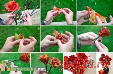 Садоводка