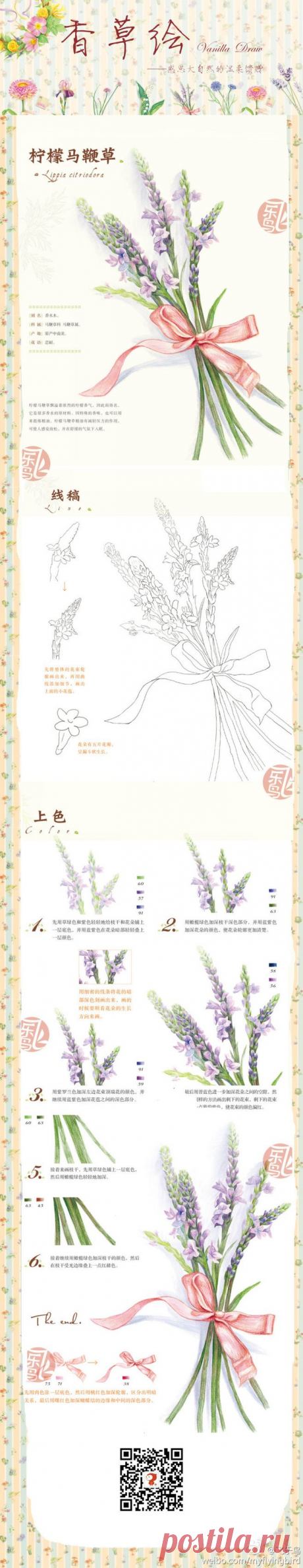 你會☆彡在哪裡ヽ采集到彩绘。植物。教程～(22图)_花瓣
