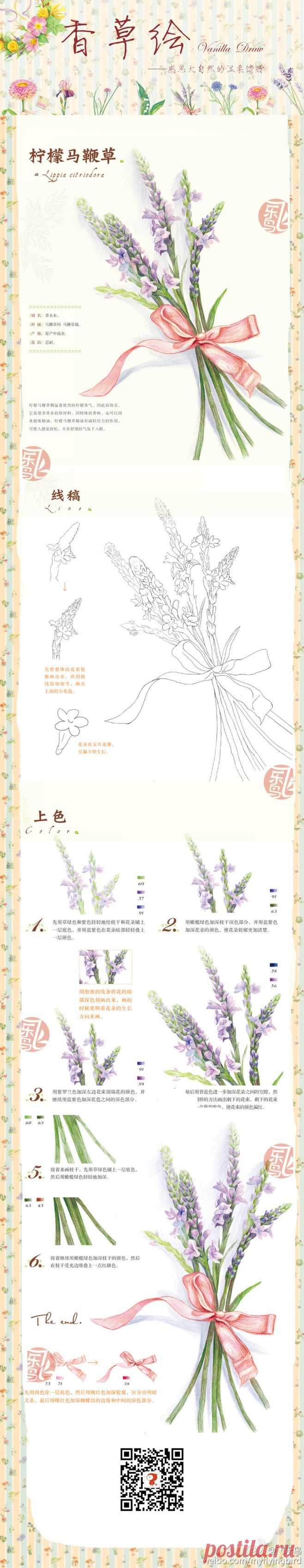 你會☆彡在哪裡ヽ采集到彩绘。植物。教程～(22图)_花瓣