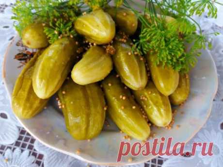 Хрустящие маринованные огурцы - 7 очень вкусных рецептов на зиму Хрустящие маринованные огурцы на зиму - вкусные рецепты, хрустящие огурцы на 1 литр, маринованные огурцы на зиму в банках, сладкие, с лимонной кислотой