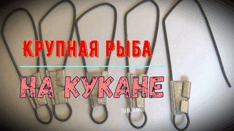 ✔ Крупная рыба на кукане