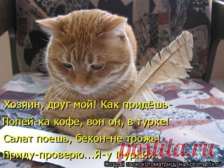 Новые котоматрицы для настроения (32 шт)