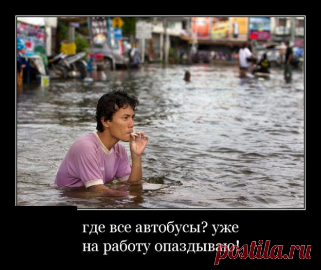 Подборка демотиваторов для настроения