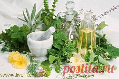 Зеленое вино для...СЕРДЦА.