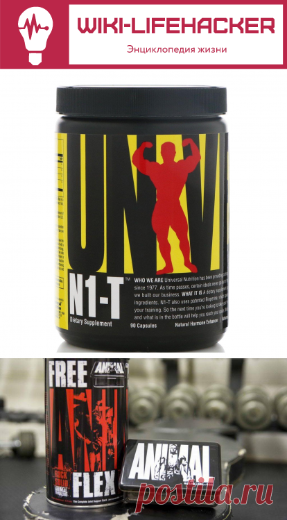 Universal Nutrition обзор продукции, animal flex, animal pak, плюсы и минусы