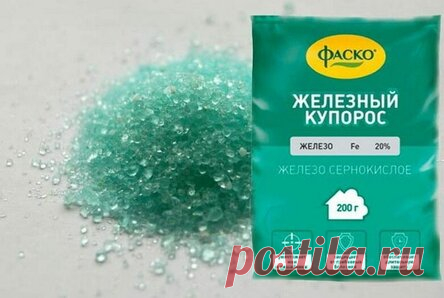 Как правильно развести железный купорос