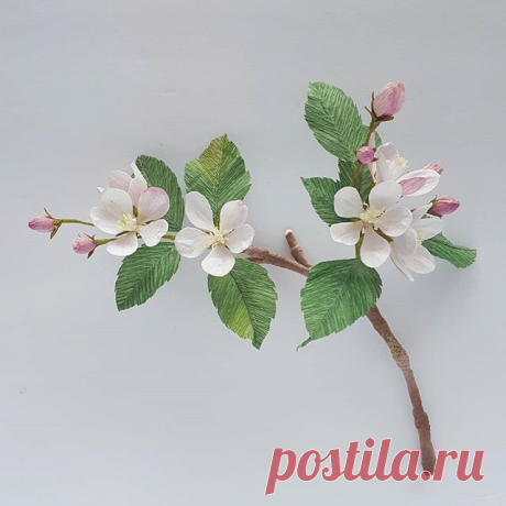 Apple Blossoms. I like to think of the Rosacea family as a kind of proof we're meant to have a taste of Paradise in this life. Apple blossoms are associated with Avalon, the Isle of Apples, where faeries rule. They also symbolize Rebirth, Love, and Wisdom. #celticmythology #maluspumila