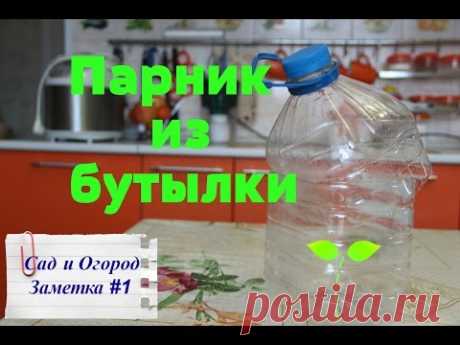 Парник из пластиковой бутылки. Лайфхак от Юли.