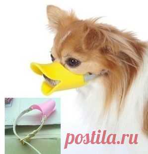 Веселый дизайнерский Намордник фирмы Орро для собак "Утиный клюв"