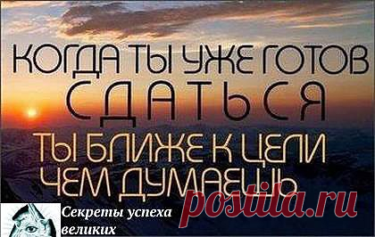 Не сдавайтесь