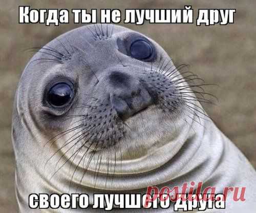 Забавные фотомемы (27 шт)