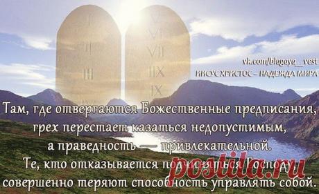 Фото пользователя Владимир, Санкт-Петербург, 51 год