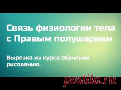 Физиология тела и Правое полушарие мозга Павел Сивков