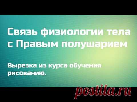 Физиология тела и Правое полушарие мозга Павел Сивков