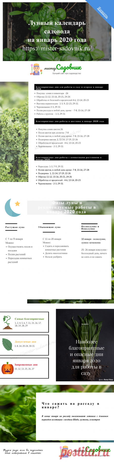 Лунный календарь садовода на январь 2020 - полная таблица