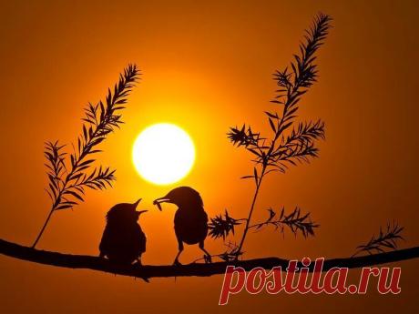 Мой Мир@Mail.Ru