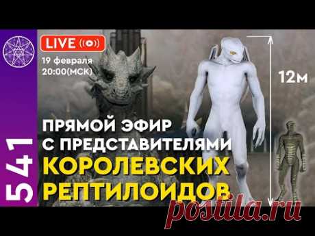 Прямой эфир с представителями Королевских Рептилойдов