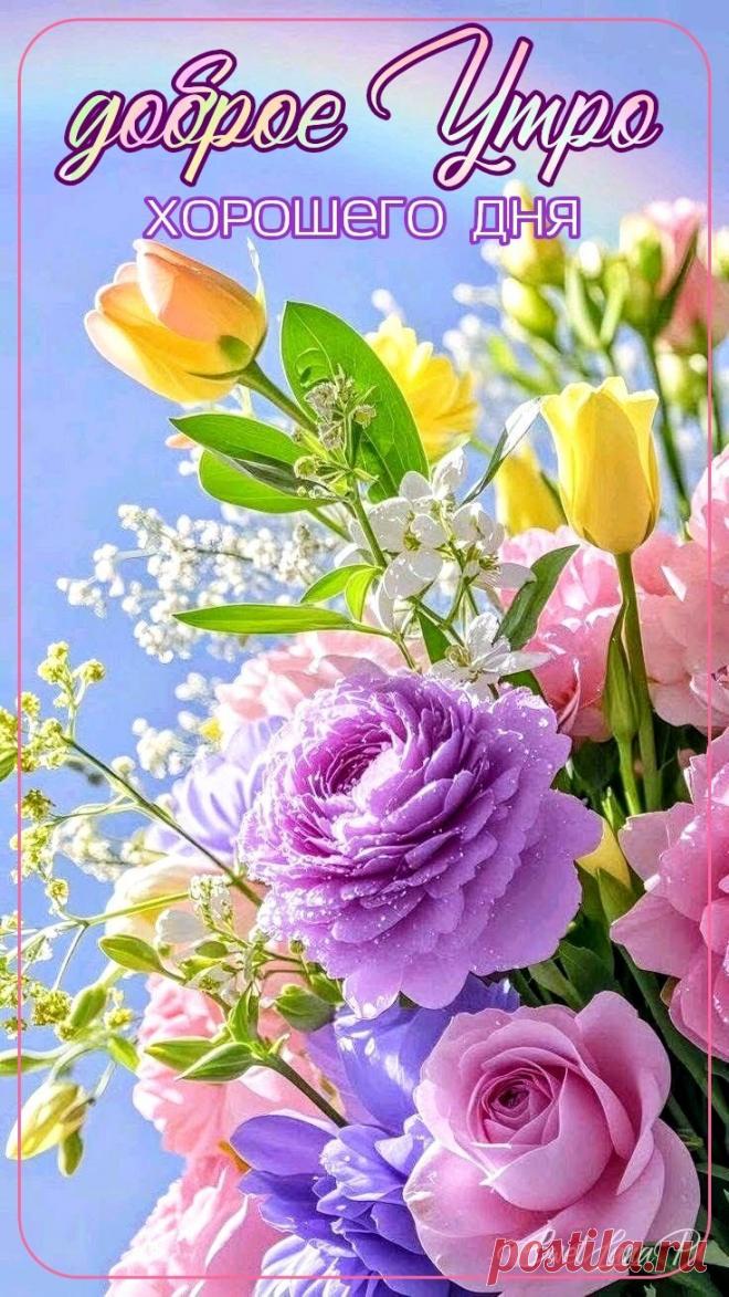 С добрым утром Привет Здрасте Добрый день
