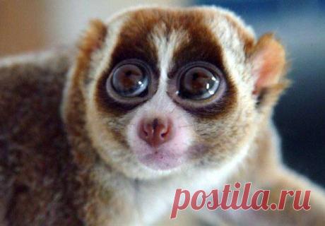 Интересные новости