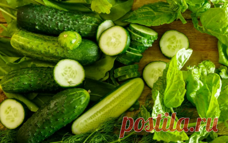 Огуречный соус 🥒 освежает, имеет пикантно-нежный вкус, а готовится за минуту, вы "подсядете" на него | Вкусно без компромиссов 🍒🥩🍸 | Яндекс Дзен