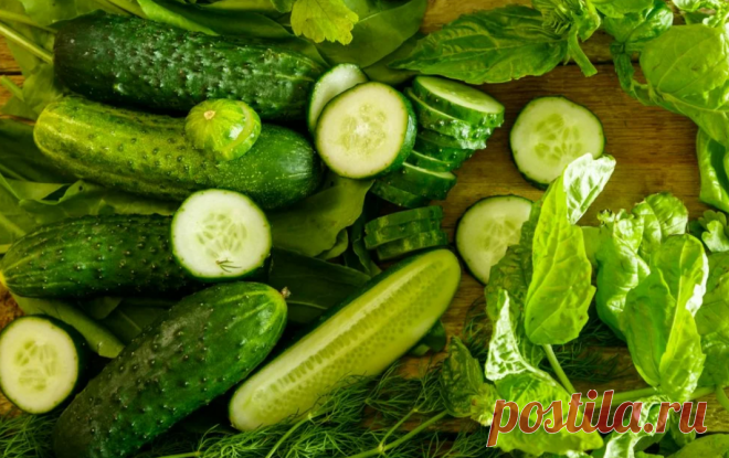 Огуречный соус 🥒 освежает, имеет пикантно-нежный вкус, а готовится за минуту, вы 