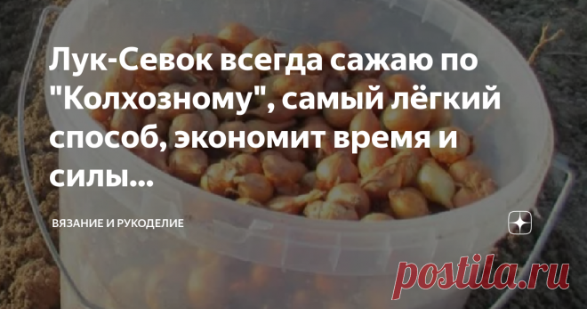 Лук-Севок всегда сажаю по 