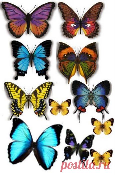 Картинки для творчества | 1 772 фотографии | ВКонтакте