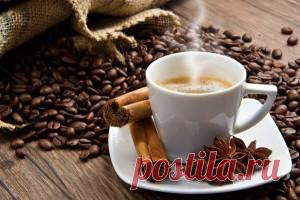 Специи снижающие кофеин в кофе | Все о продуктах | Само Совершенство