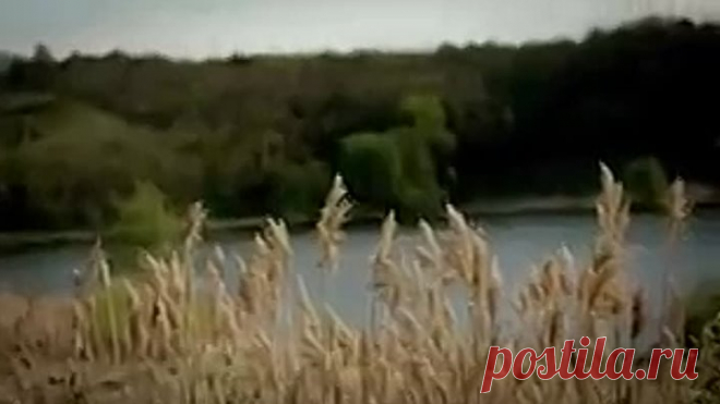 Одноклассники