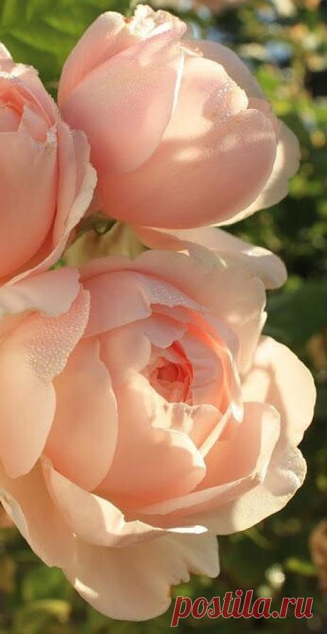 i (346×670)