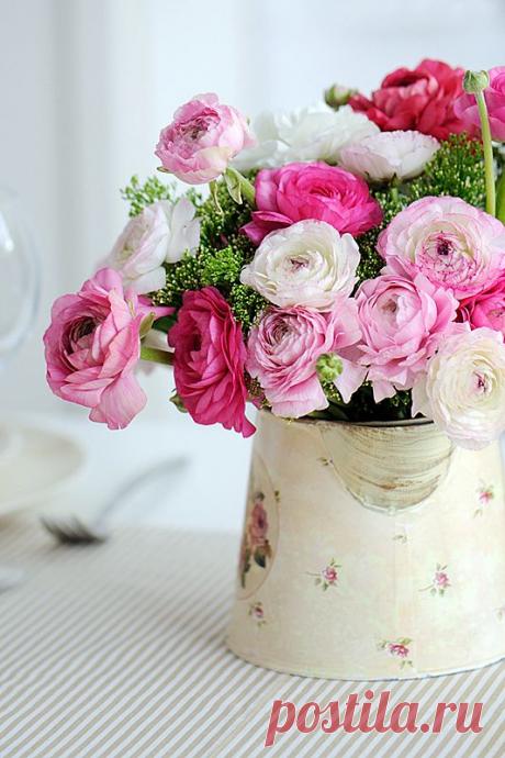 Цветы ранункулюсы  | sadok33.ru