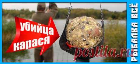 Прикормка-убийца для карасей: Мой секретный рецепт | Рыбалка Всё | Дзен