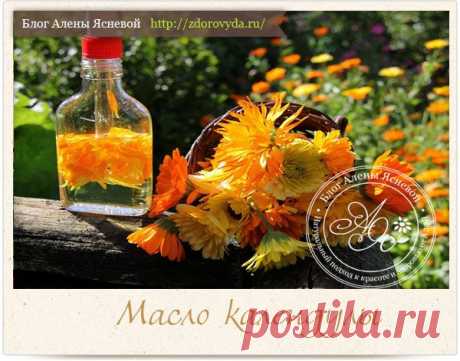Масло календулы приготовление в домашних услвоиях