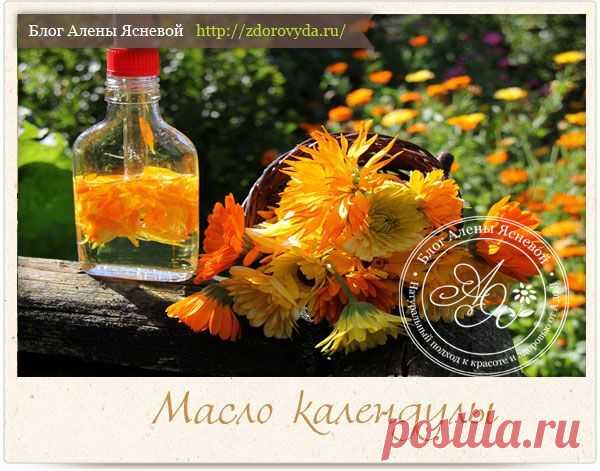 Масло календулы приготовление в домашних услвоиях