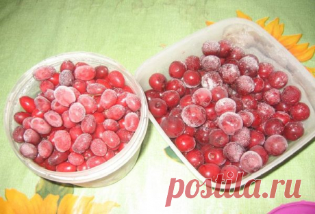 Как заморозить на зиму помидоры в морозилке: целиком, кубиками, пюре и кружочками