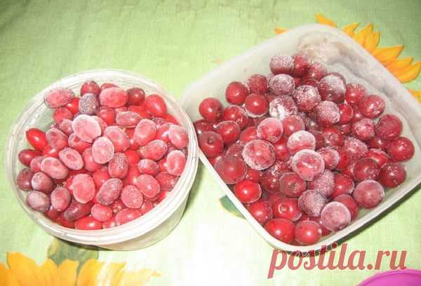 Как заморозить на зиму помидоры в морозилке: целиком, кубиками, пюре и кружочками