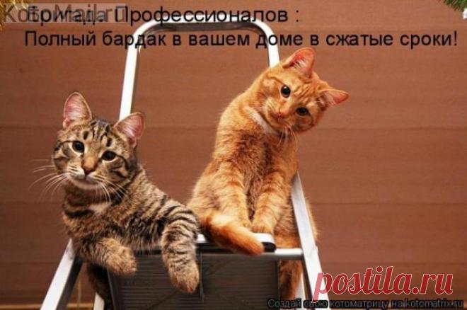 Профессионалы.